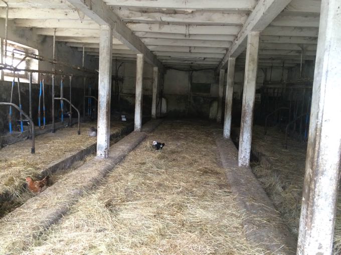 Transformation étable en habitation Avant