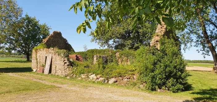 Rénovation murs en pierre Rédené Avant